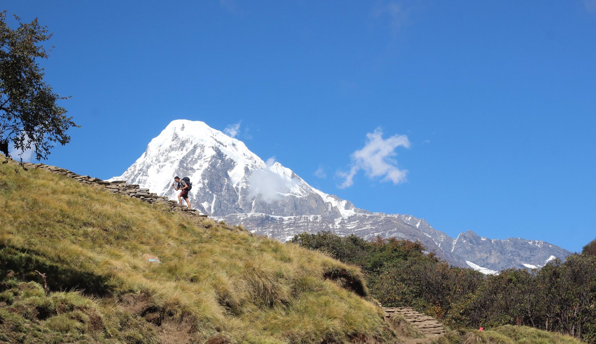 Mardi Himal Trek
